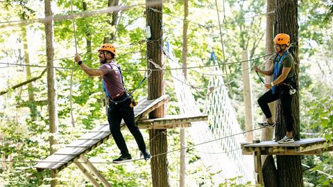 Two individuals wearing helmets and harnesses engage in a rope course activity among trees.