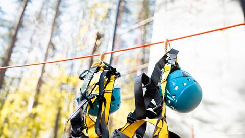 Climbing equipment hanging on a line in a forest.