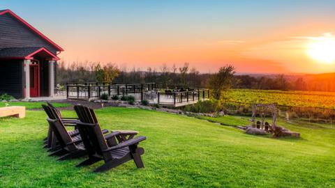 Two Muskoka chairs facing a vineyard at sunset, with a red barn and an expansive deck in the background.