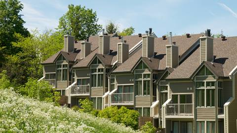 Row of modern townhouses with green exterior, gabled roofs, and balconies, surrounded by lush trees and flowering shrubs on a sunny day.