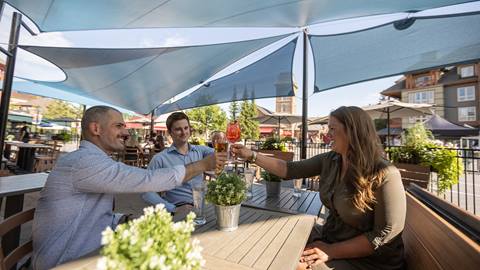 A group of people toasting at a table under a shady umbrella.