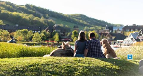 A group of people sitting on grass with dogs.