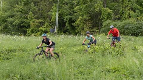 A group of mountain bikers riding through a grassy field.