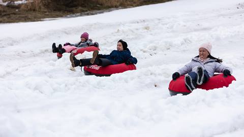 A group of children riding snow tubes down a snowy hill.
