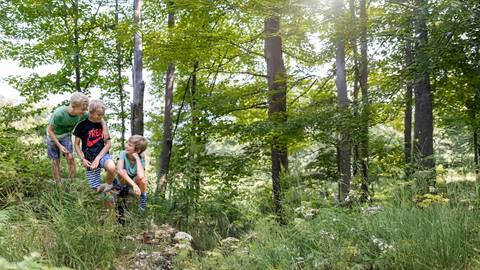 Blue Mountain Summer Camp Vision