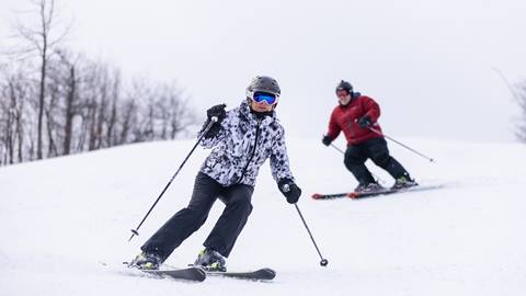 Two skiers enjoying a thrilling ride down a snowy slope at Blue Mountain Resort