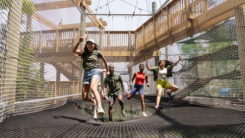 A group of friends enjoying the Canopy Climb at Blue Mountain
