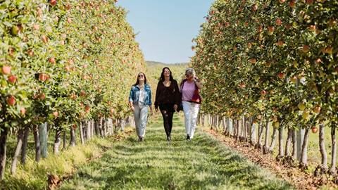 apple pie trail