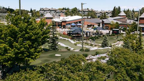 An aerial view of a miniature golf course.