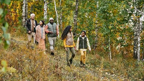 A group of people walking in a forest.