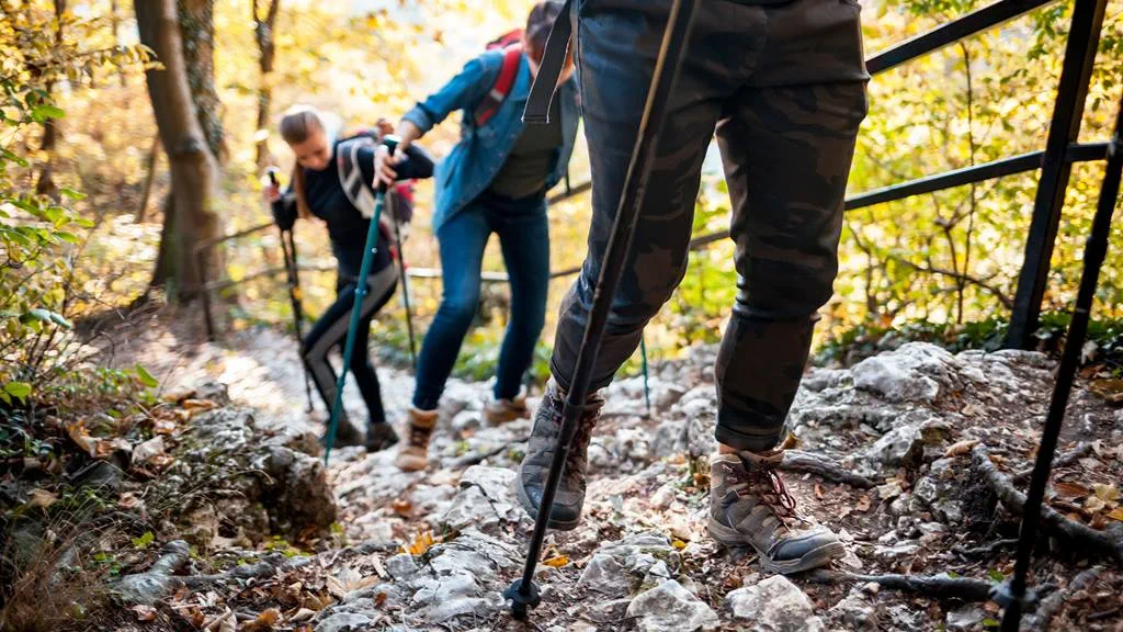 Three hikers with trekking poles ascend a rocky trail surrounded by autumn foliage. focus on the lead hiker's boots.