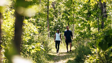 A man and woman walking through a wooded area.