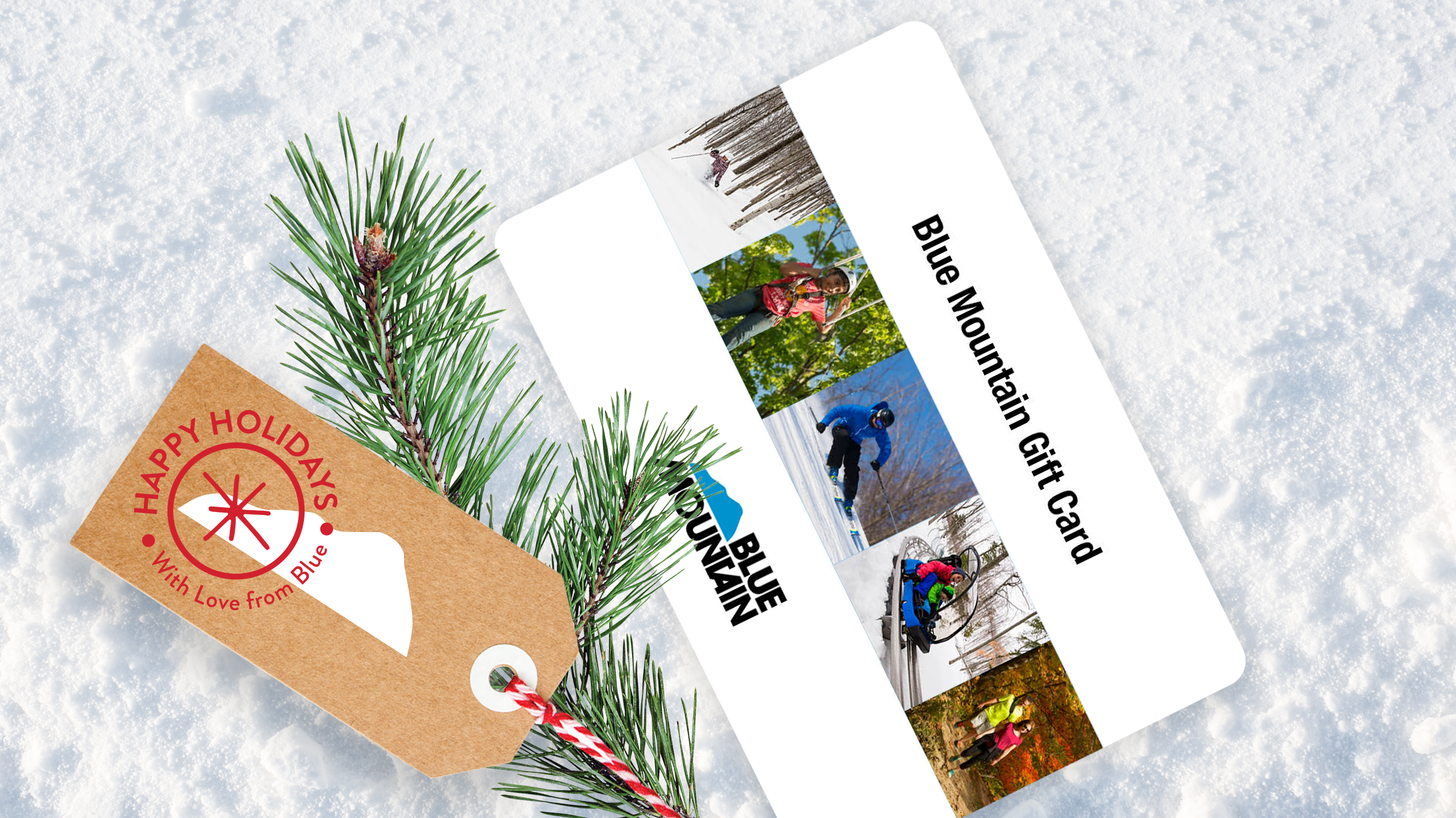 Blue Mountain Holiday Gift Guide Gift Card