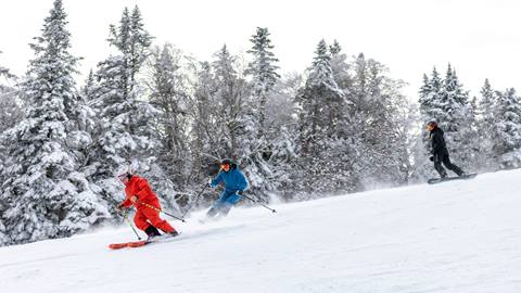 Three people skiing and snowboarding down a snowy slope surrounded by snow-covered trees.
