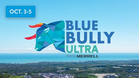 Blue Bully