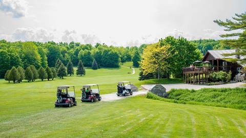 Golf carts parked on grass by a clubhouse with vibrant green trees and a clear path leading through a sunny golf course.