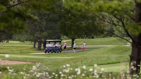 Three people walking next to a golf cart on a lush golf course, with trees framing the view and daisies in the foreground.