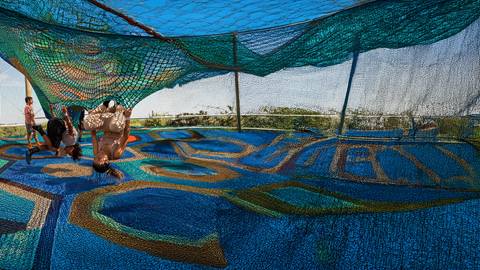 a group of kids playing on Cocoon Crawl Playscape