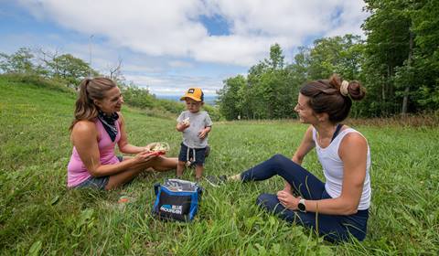 Two Friends with their child sitting in the grass enjoying a picnic at Blue Mountain