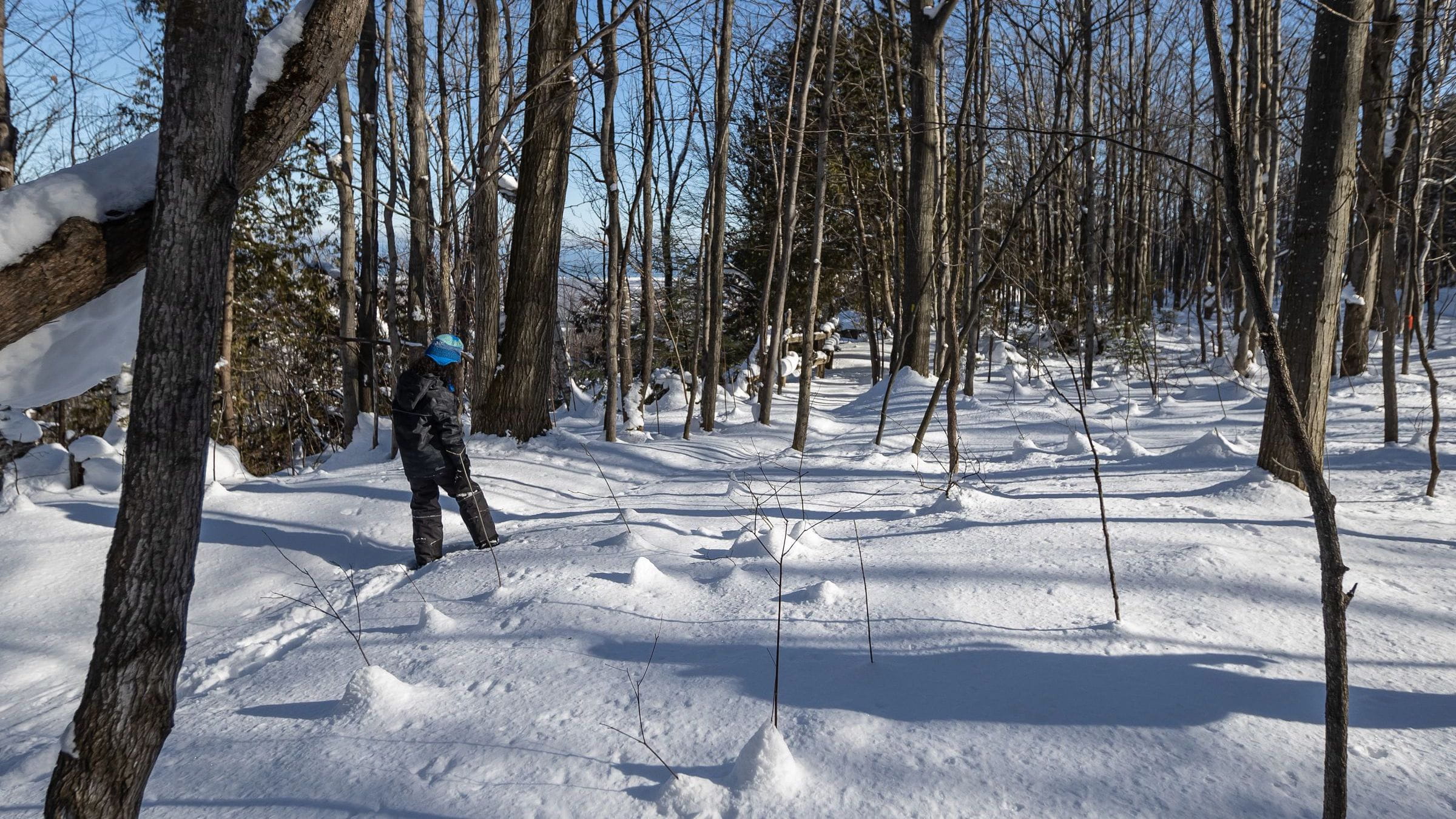 Snowshoeing in Ontario Blue Mountain Resort