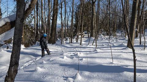 Person walking on snowshoe trail at blue mountain
