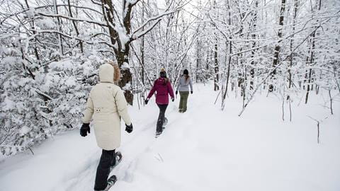 People in snowshoes walking on Blue Mountain trail during guided snowshoe tour