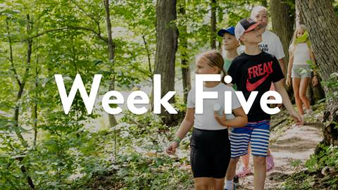 Week 5 (July 28 - August 1)