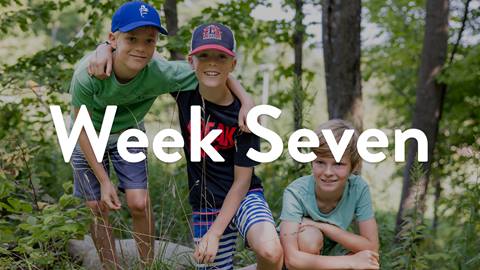 Week Seven (11-15)