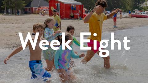 Week Eight (18-22)