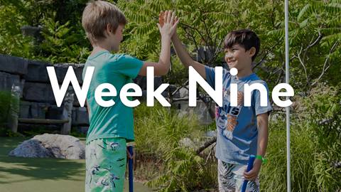 Week Nine (August 25-29)