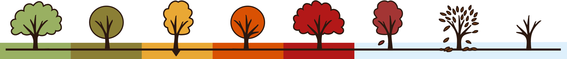 Fall Colour Meter