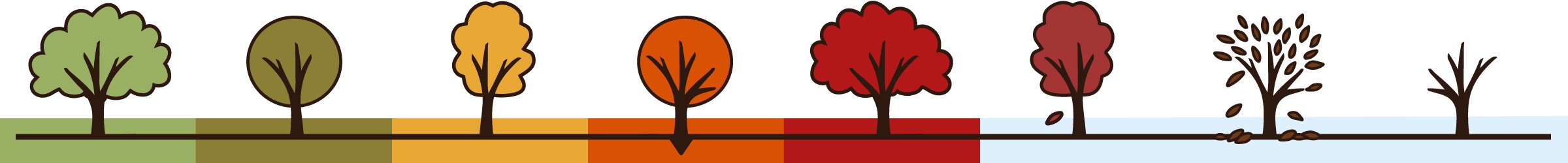 Fall Colour Meter