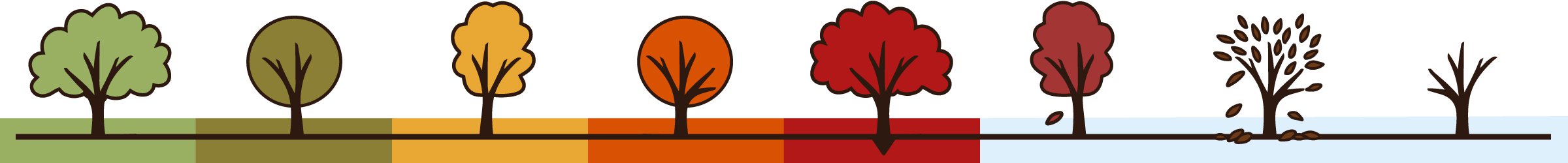 Fall Colour Meter