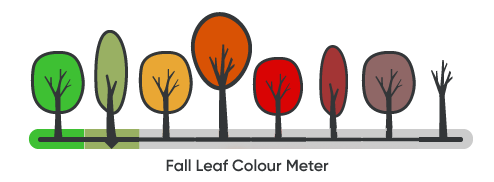 fall colour meter at level 2