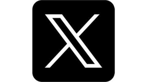 X logo/icon