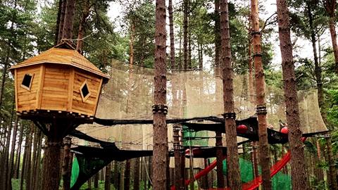 Canopy Climb Net Adventure