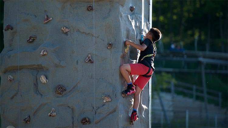 Image result for Wall Climbing activity