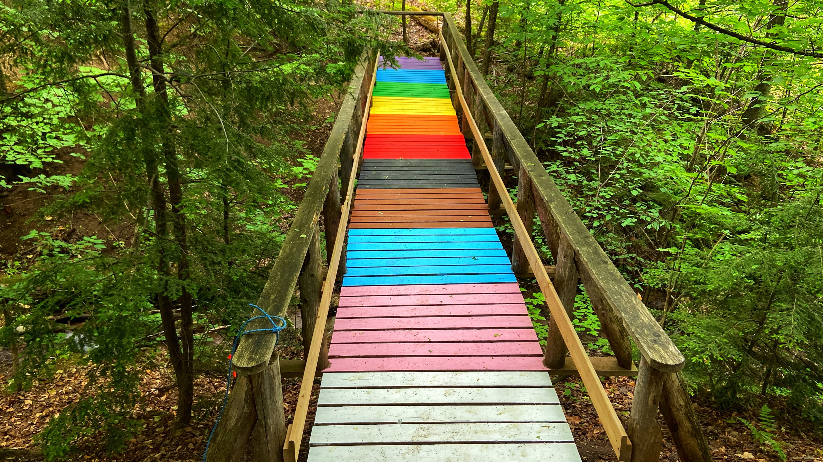 Blue mountain sale trail