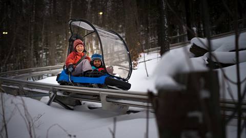 winter ridge runner family