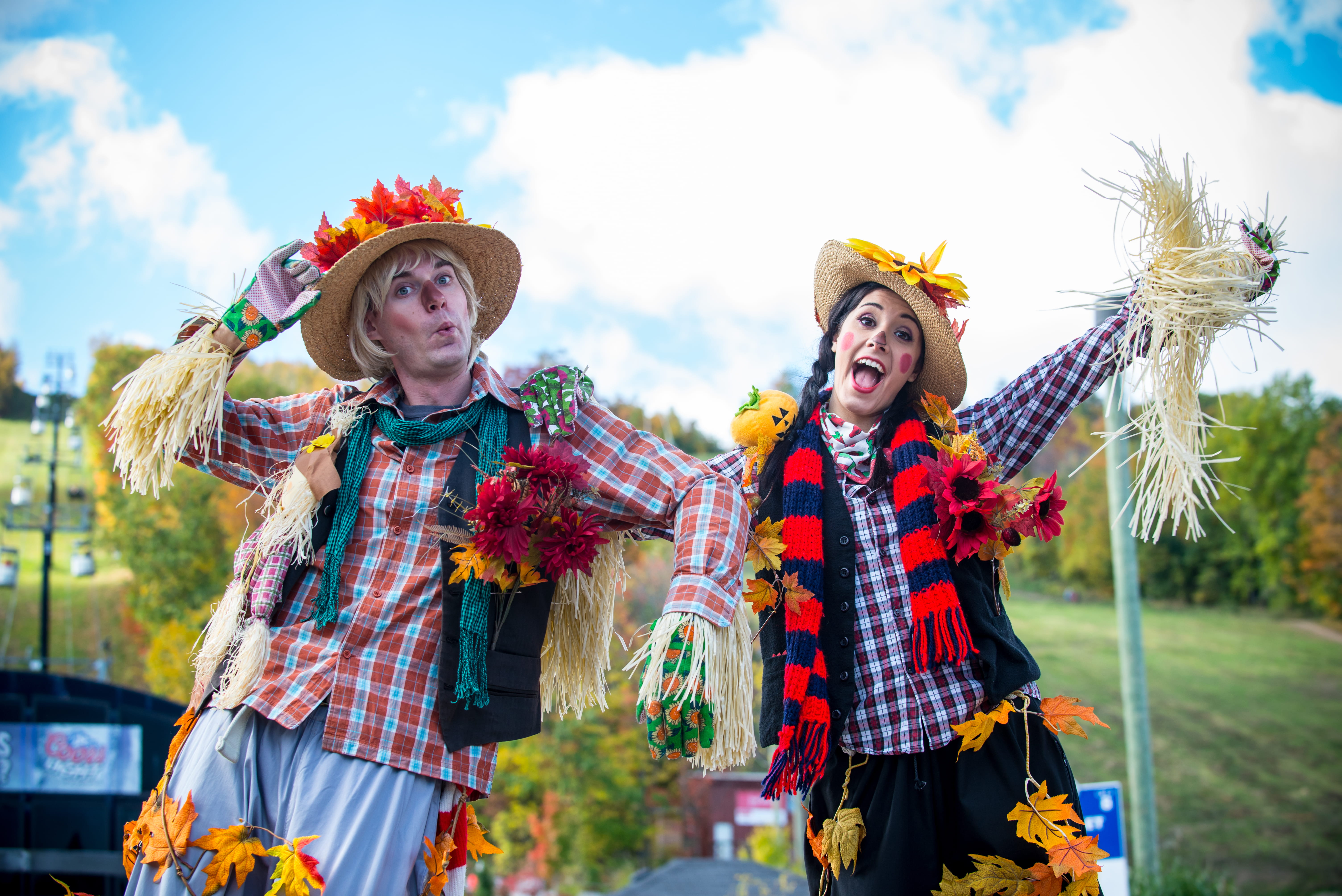 Apple Harvest Event image