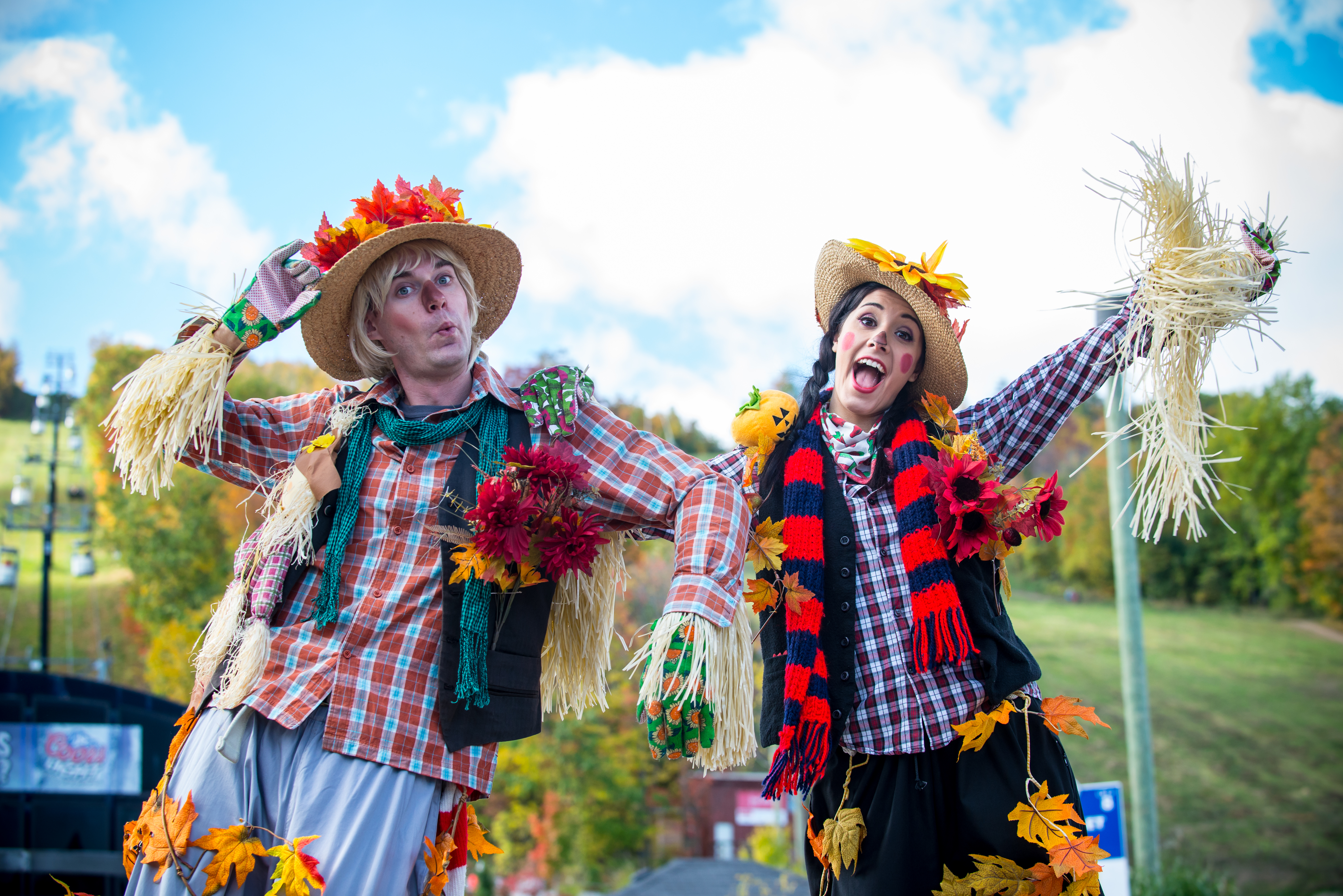 Apple Harvest Event image