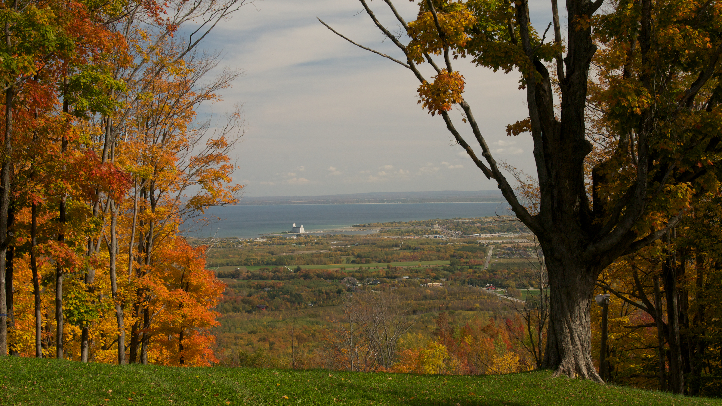 Blue Mountain Fall Landscape