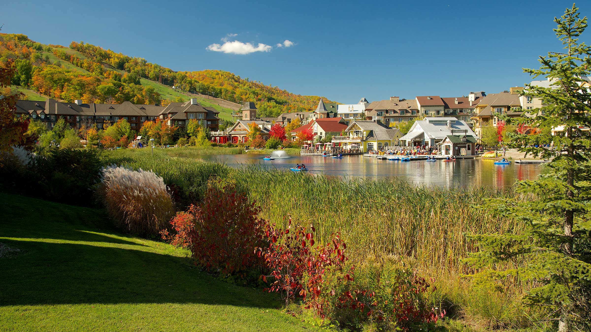 fall landscape