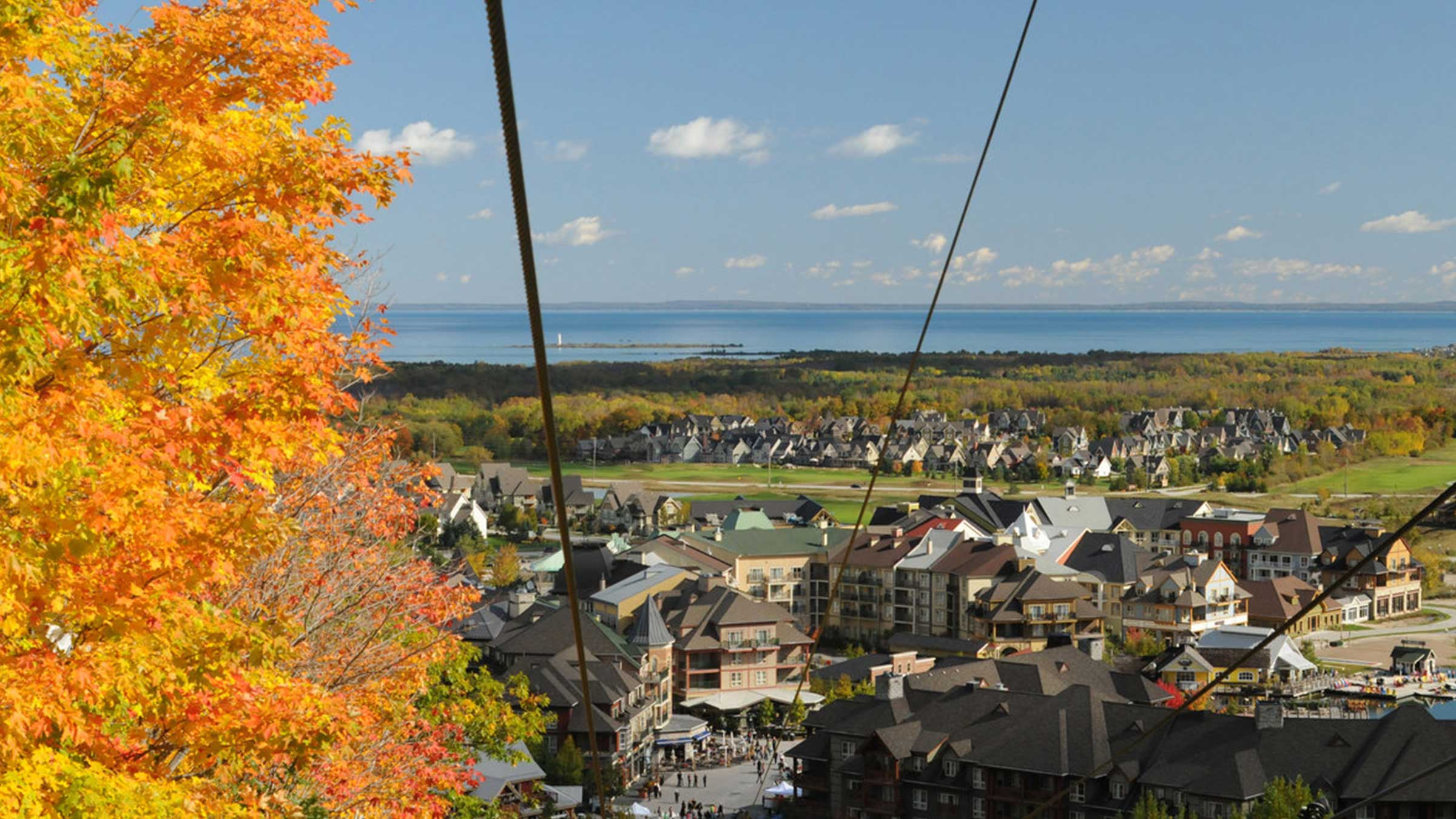 fall landscape