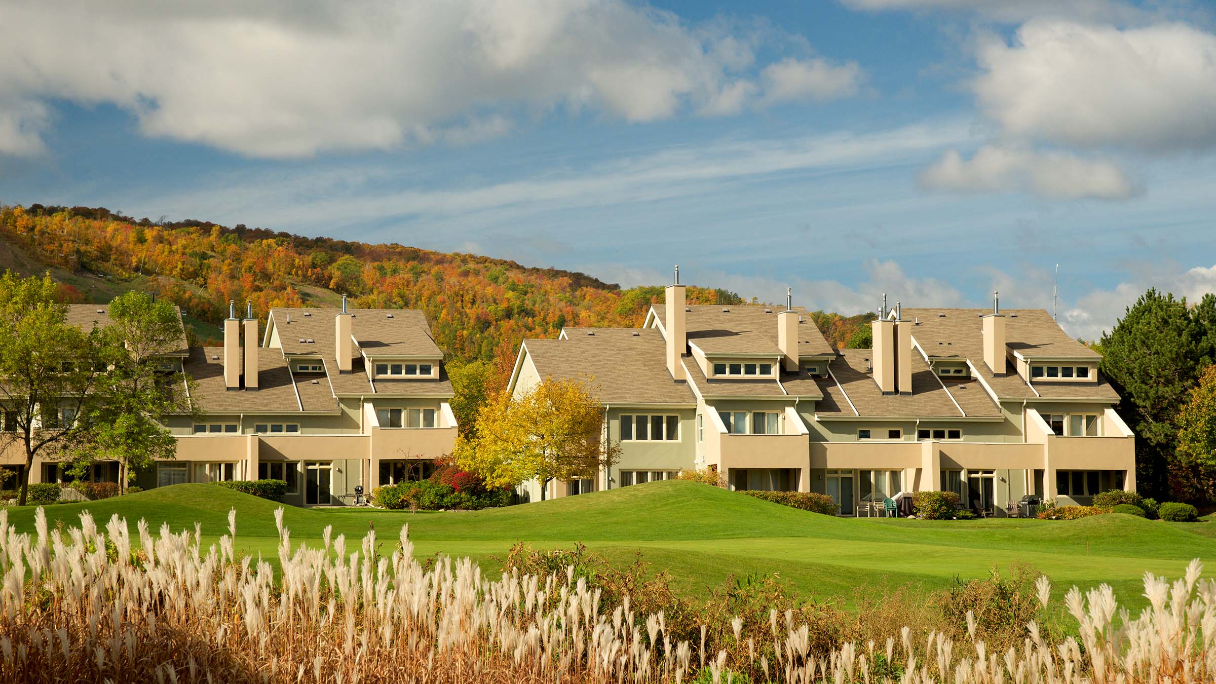 Wintergreen Resort Homes Blue Mountain Resort