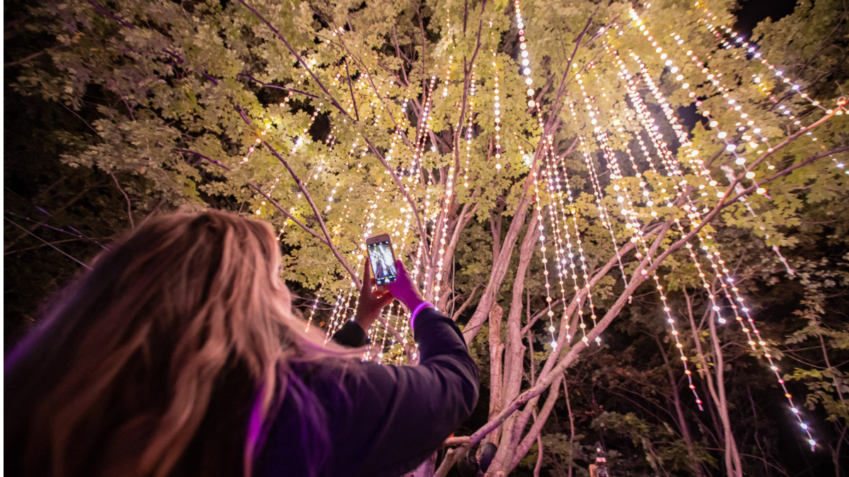 Woman taking photo of lights