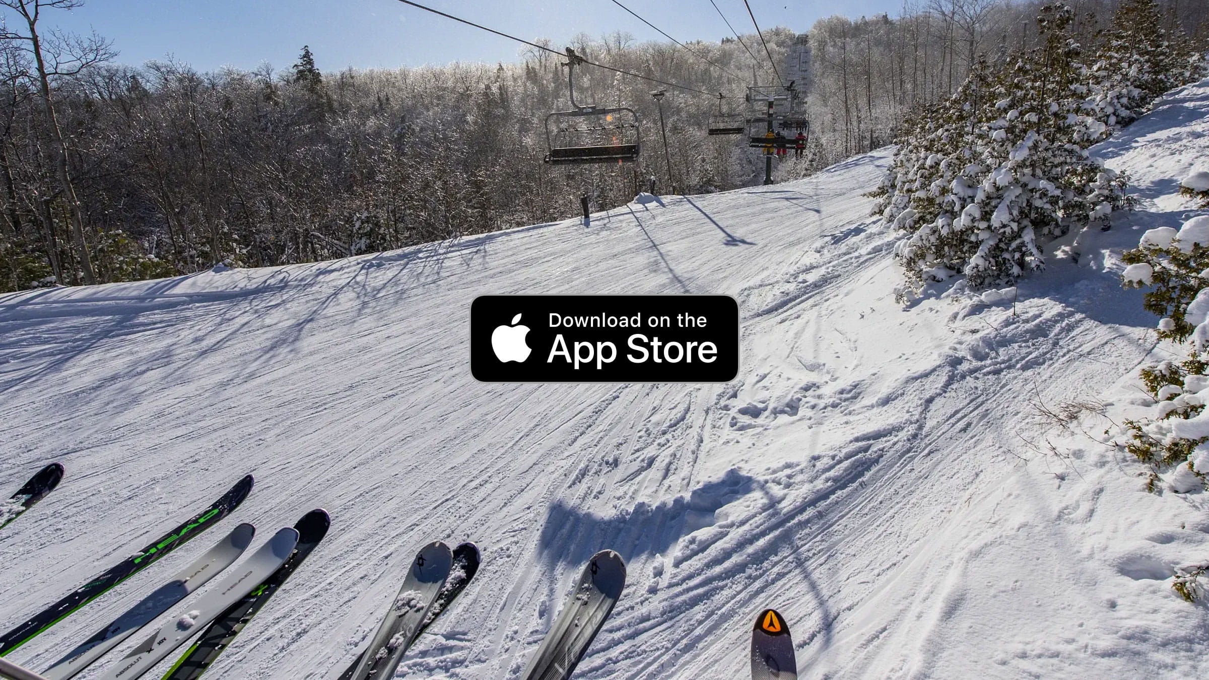 apple app store
