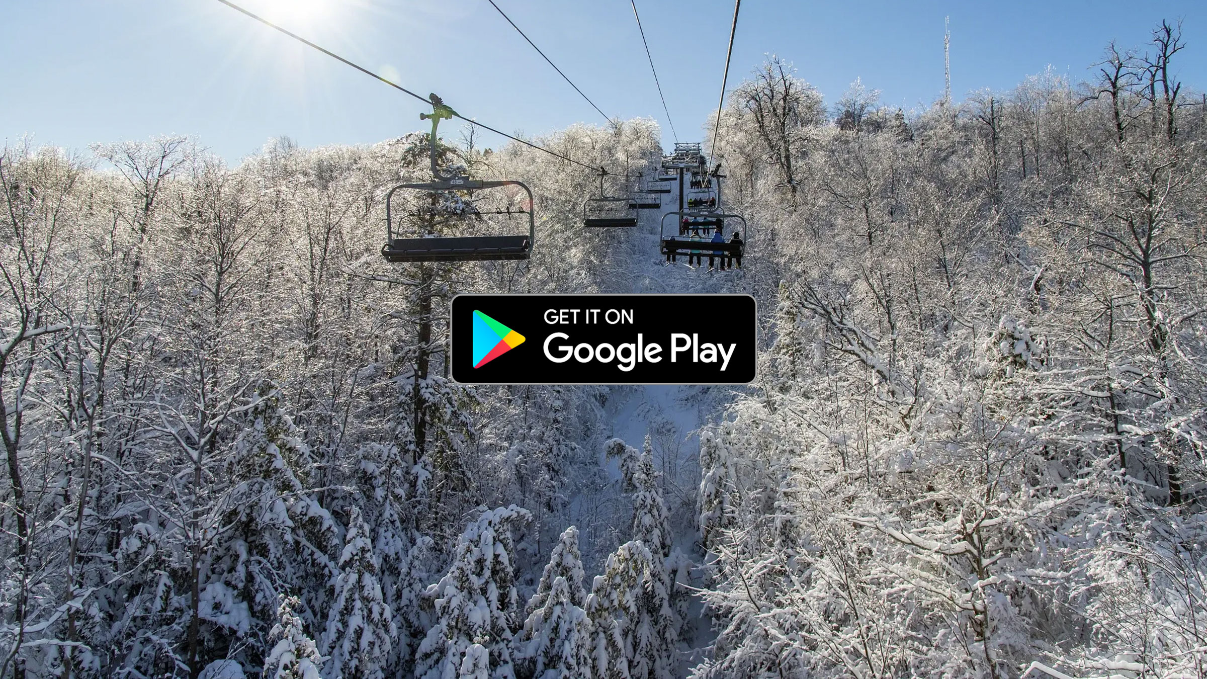 google play store