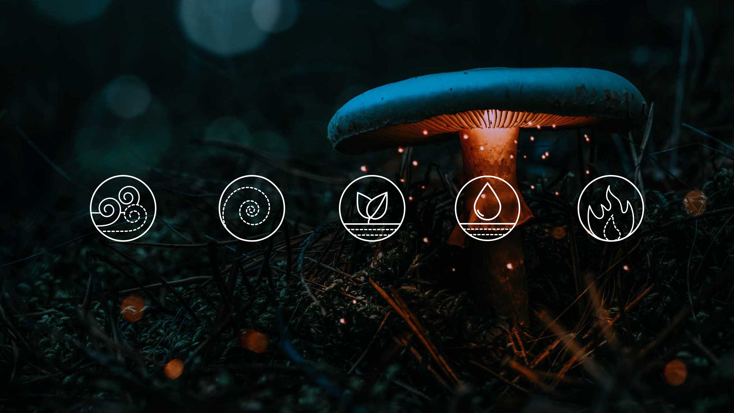 Mushroom with Icons