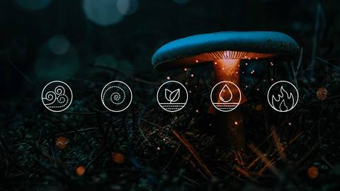 Mushroom with Icons